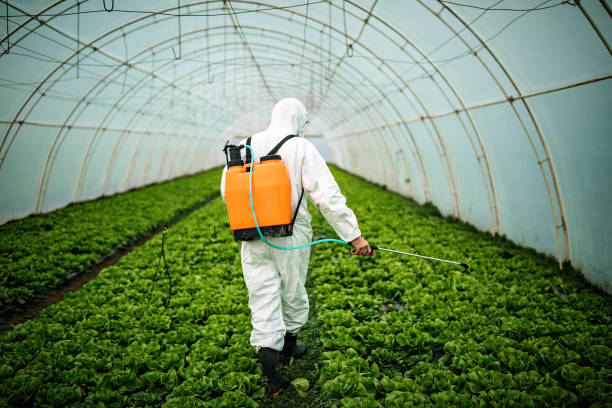 Best Pest Control Near Me  in Marion Oaks, FL