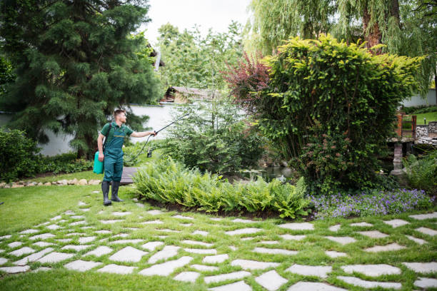 Best Mosquito Control Services  in Marion Oaks, FL