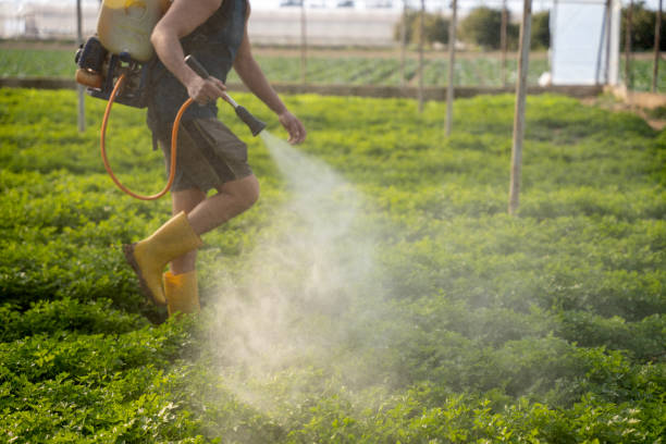 Best Best Pest Control Companies  in Marion Oaks, FL
