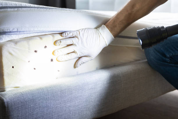 Best Cockroach Control Services  in Marion Oaks, FL