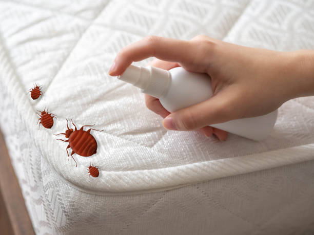 Pest Control for Restaurants in Marion Oaks, FL