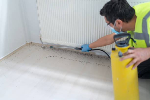 Best Pest Control Near Me in Marion Oaks, FL